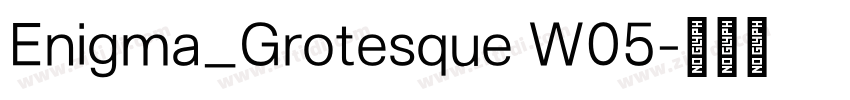 Enigma_Grotesque W05字体转换 Enigma_Grotesque W05字体转换